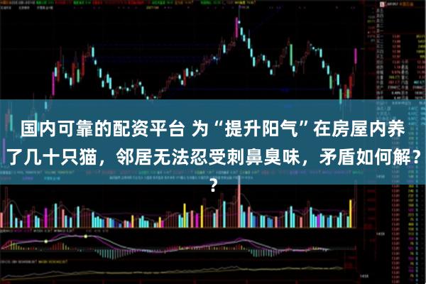 国内可靠的配资平台 为“提升阳气”在房屋内养了几十只猫，邻居无法忍受刺鼻臭味，矛盾如何解？
